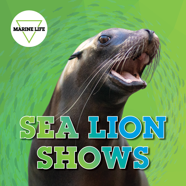 Sea Lion Shows
