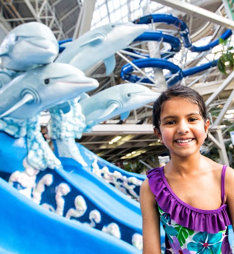 Dolphin Kiddie Pool West Edmonton Mall Dolphin Kiddie Pool West Edmonton Mall