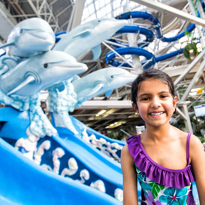 Dolphin Kiddie Pool West Edmonton Mall Dolphin Kiddie Pool West Edmonton Mall