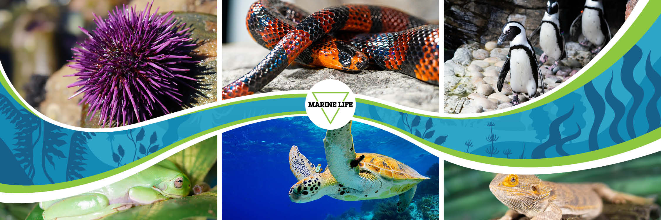 West Edmonton Mall North America S Largest Shopping Mall