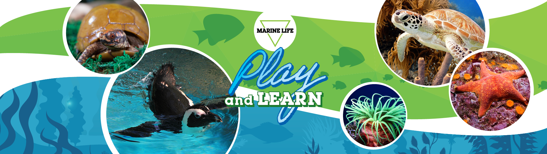 JANUARY PLAY AND LEARN