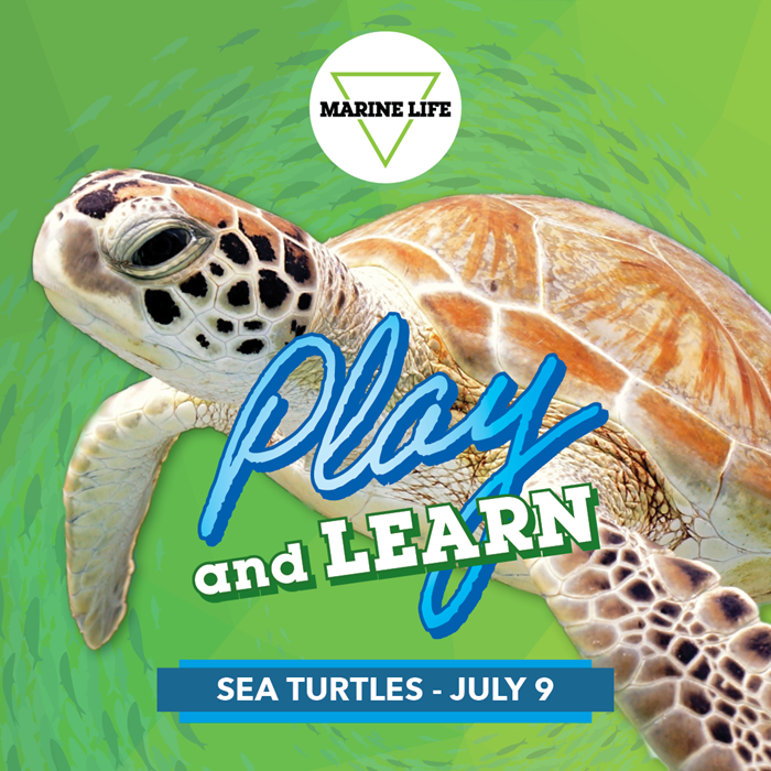 JULY PLAY AND LEARN