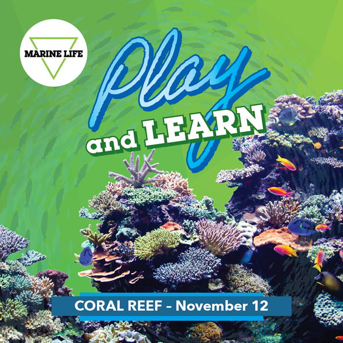 November Play and Learn