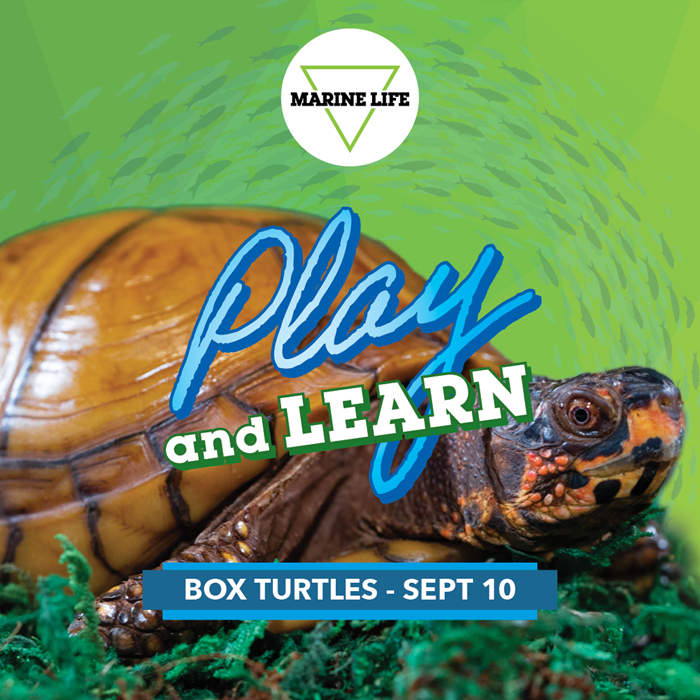 September Play and Learn