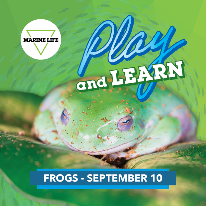 September Play and Learn