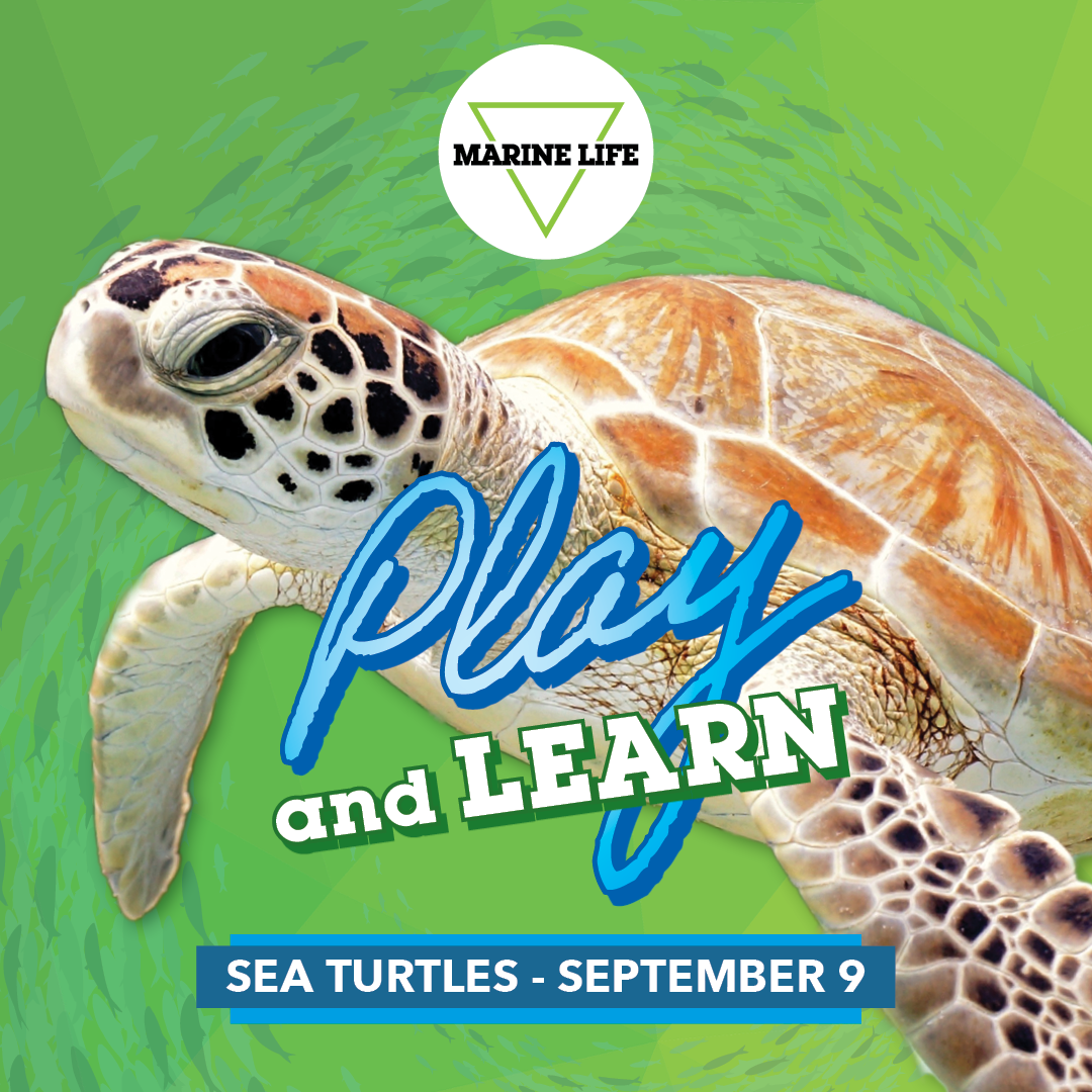 September Play and Learn