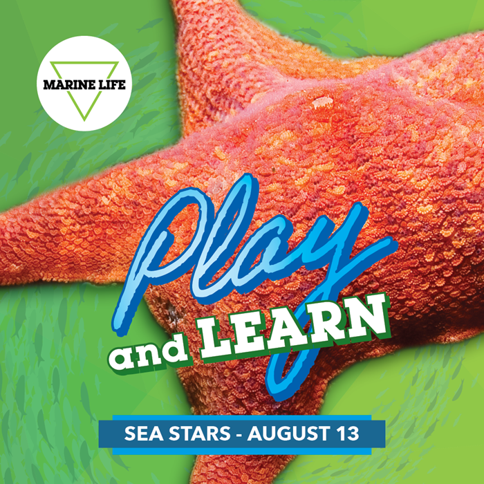 MARINE LIFE PLAY AND LEARN