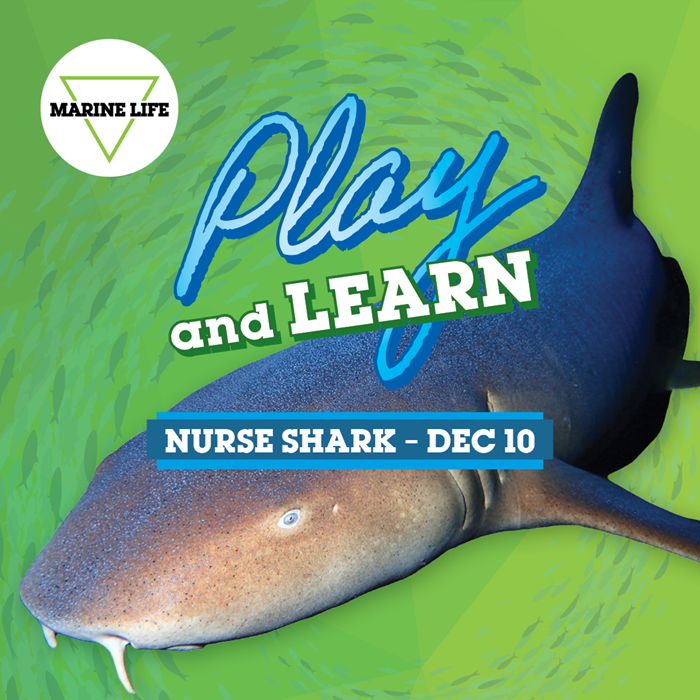 December Play and Learn