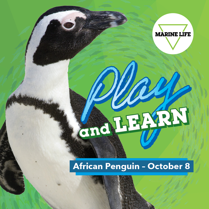 October Play and Learn
