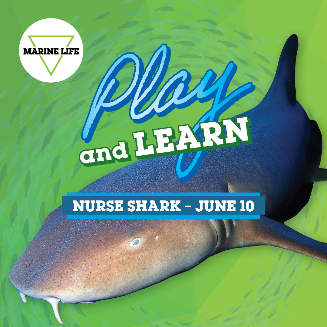 June Play and Learn