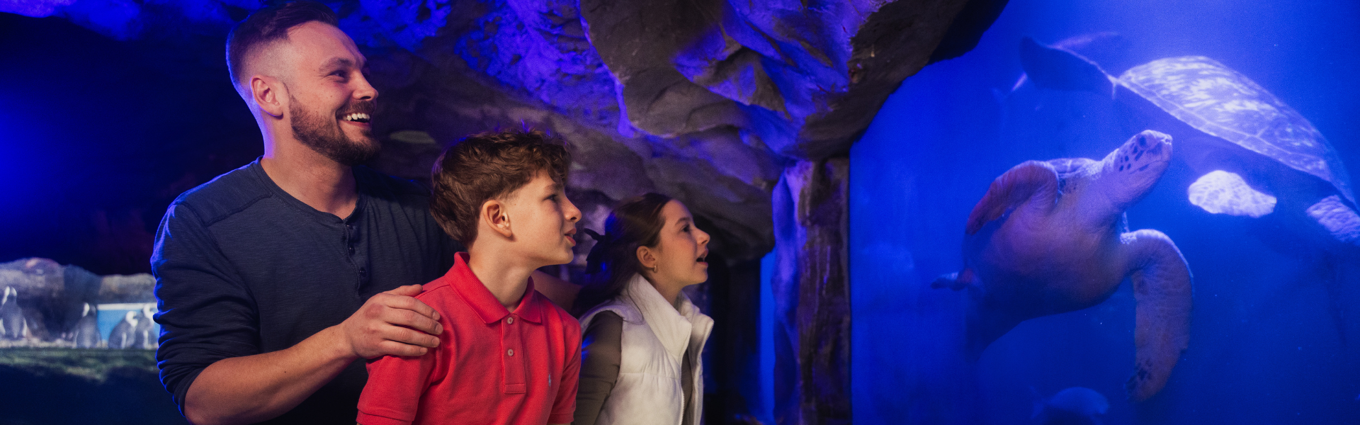 The Ultimate Father’s Day Playbook | West Edmonton Mall