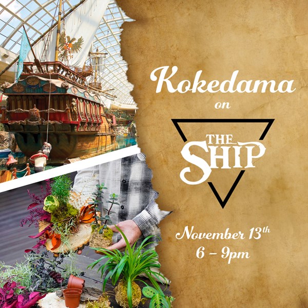 Kokedama on The Ship