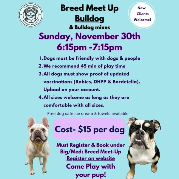 Fantasia: Bulldog Meet Up