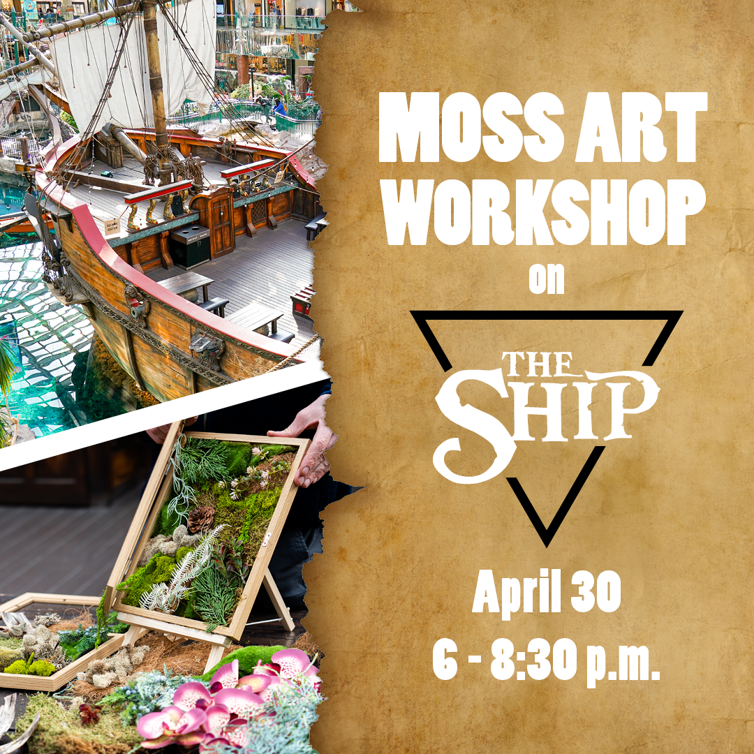 Moss Art Workshop on The Ship
