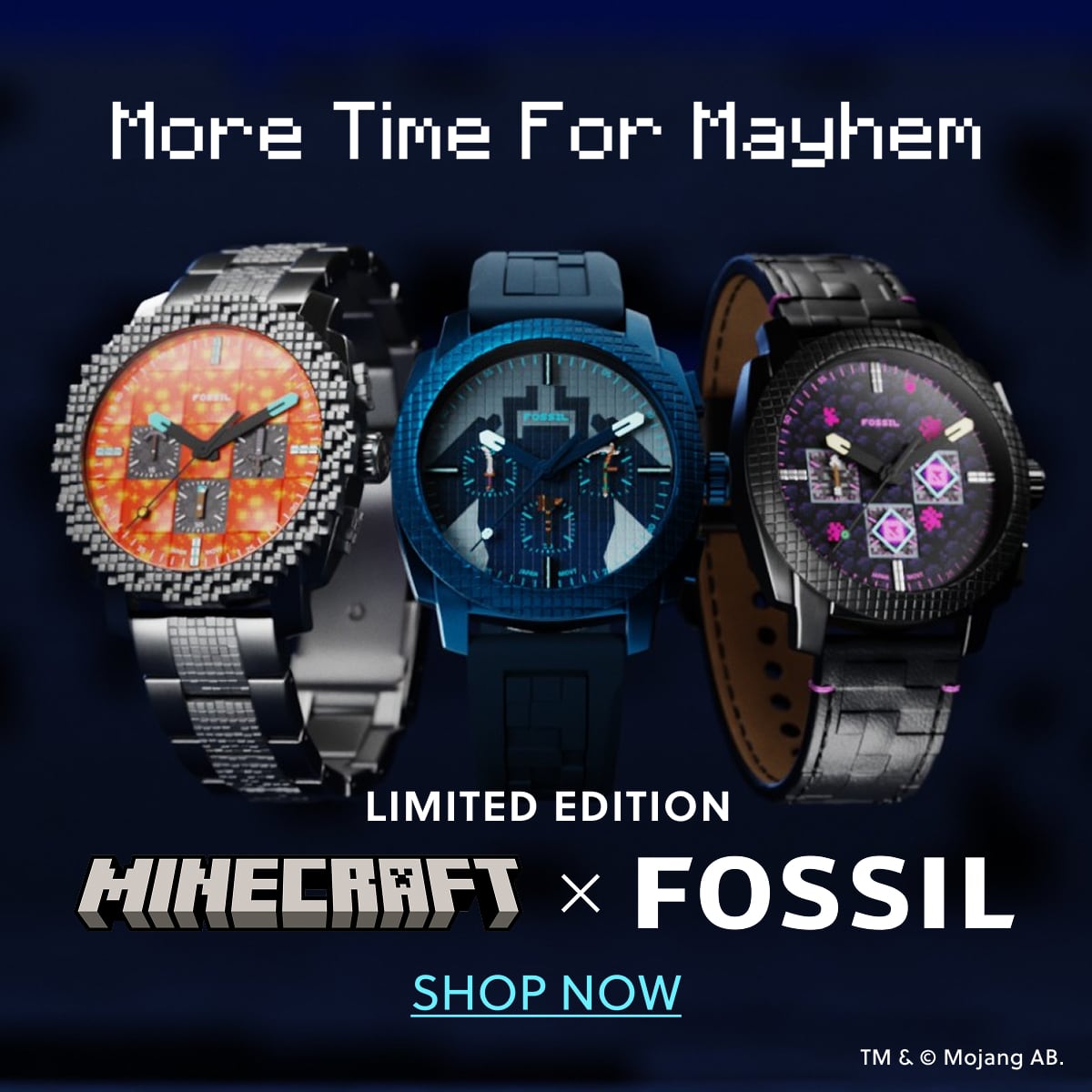 MINECRAFT X FOSSIL