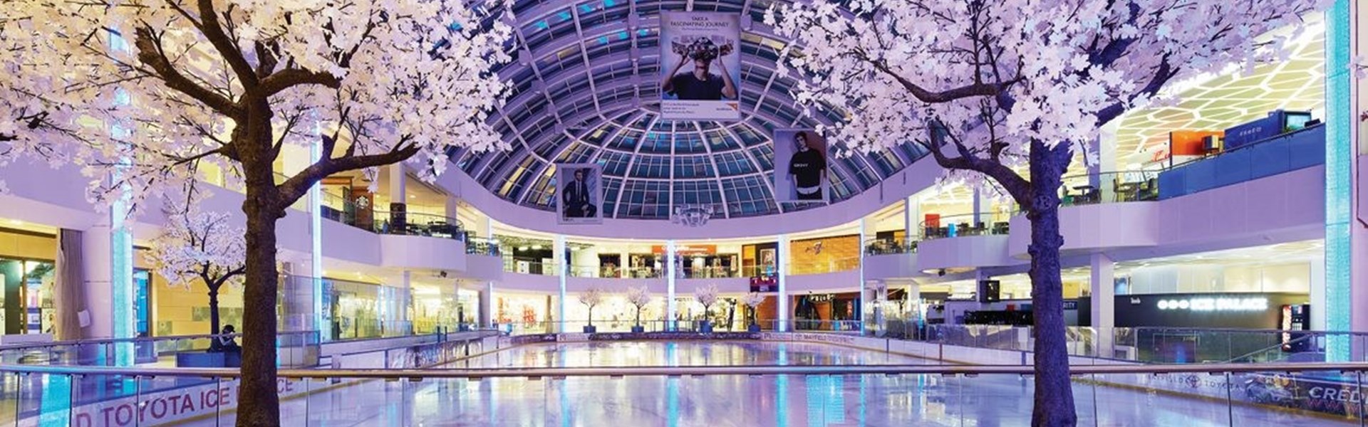 Ice Palace Late Night Ice Rentals