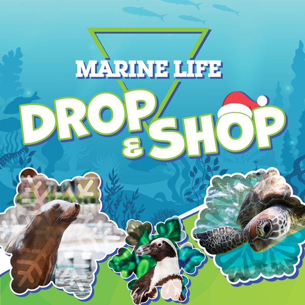 Marine Life Drop and Shop