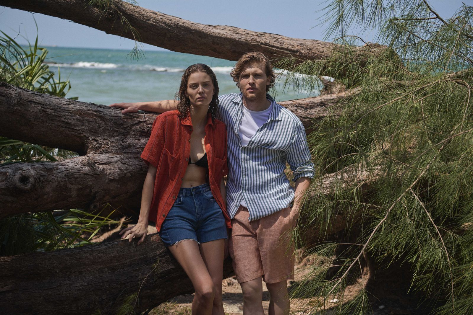 Cinematic Seasonal Moments