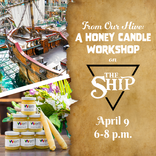 From Our Hive: A Honey Candle Workshop