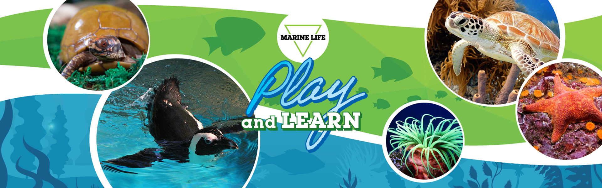JUNE PLAY AND LEARN