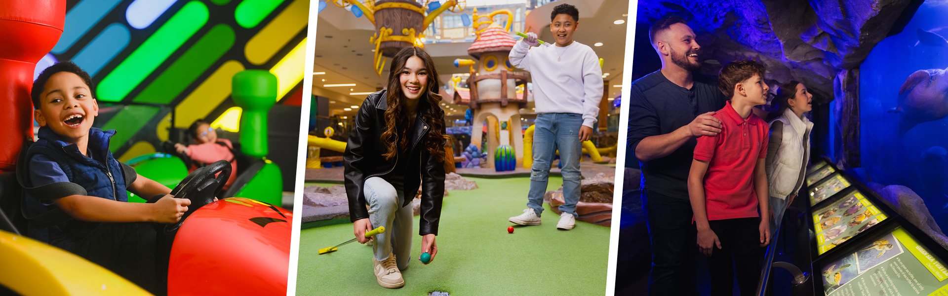 Your Entertainment Destination